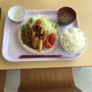 コハダ君ランチ