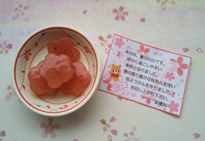 春分の日　ブログ用②