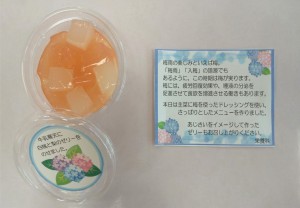 あじさいゼリーブログ用②