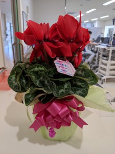 PXL_20201223_021548845