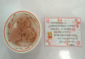 桜　ブログ用②