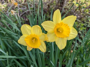 PXL_20220407_224736062 (002)