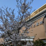 PXL_20220408_081036859.MP (004)