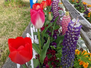 PXL_20220410_224848851.MP (003)