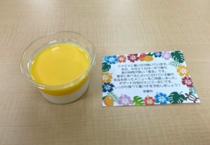 夏至　ブログ用②