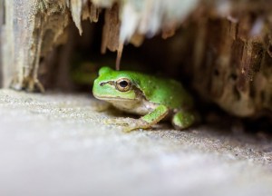 9ca5e313358d09d24ddf696e23a6a7b3