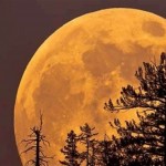 4b7135e4-822c-45c0-8b9d-495f1fdb5685