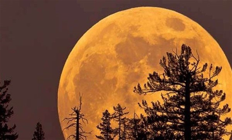 4b7135e4-822c-45c0-8b9d-495f1fdb5685