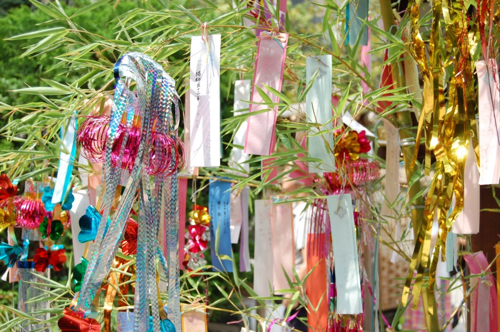 adpDSC_5529-2048x1362